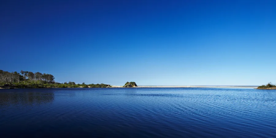 Comment pêcher l'achigan à petite bouche au Québec ? Techniques, leurres et spots