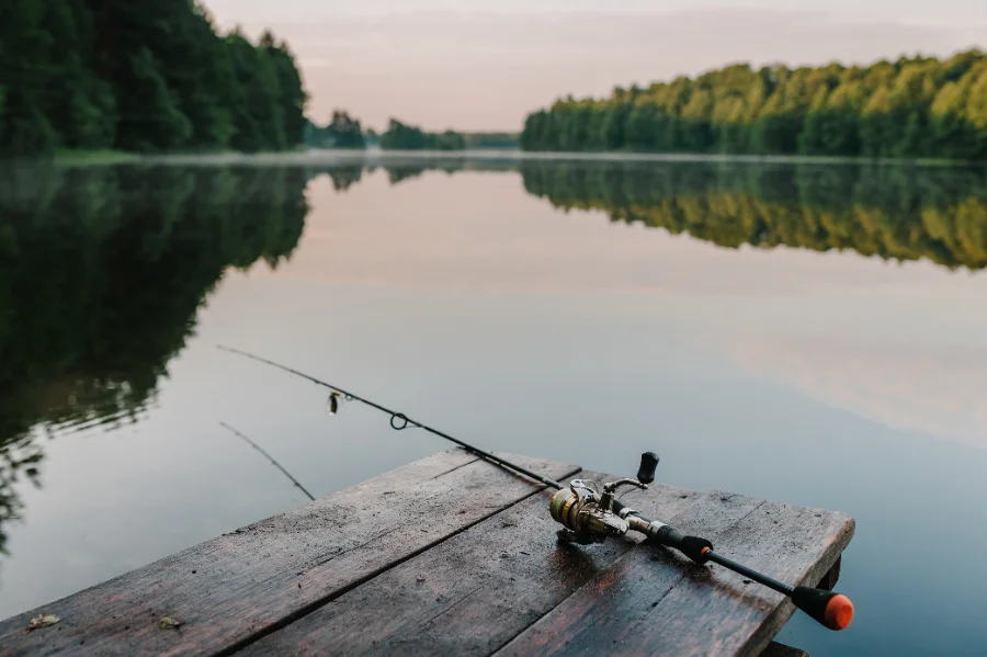 Dates et Périodes de Pêche au Québec : Ce Que Tu Dois Savoir