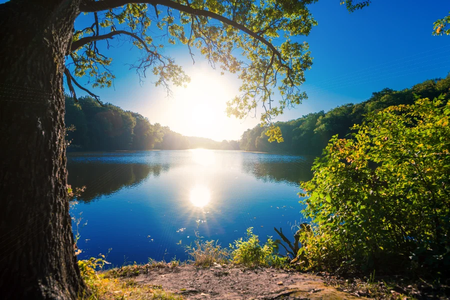 Meilleurs spots de doré au Québec : lacs, rivières, leurres et saisons (Guide 2026)