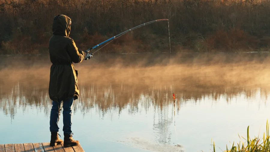 Bass Fishing in Quebec: Techniques, Lures and Best Baits