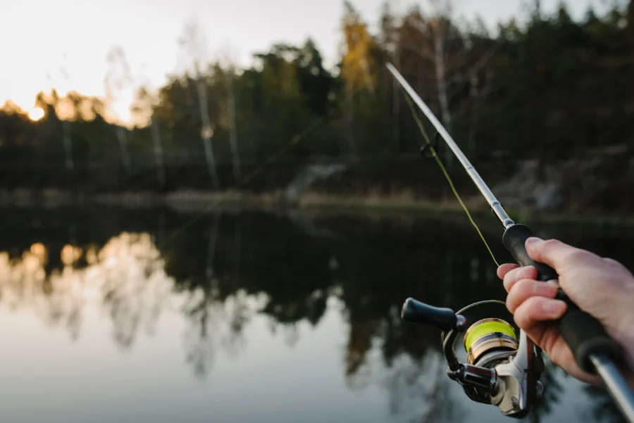 Which Fish Accumulate the Most Mercury in Quebec? (qualitative guide)