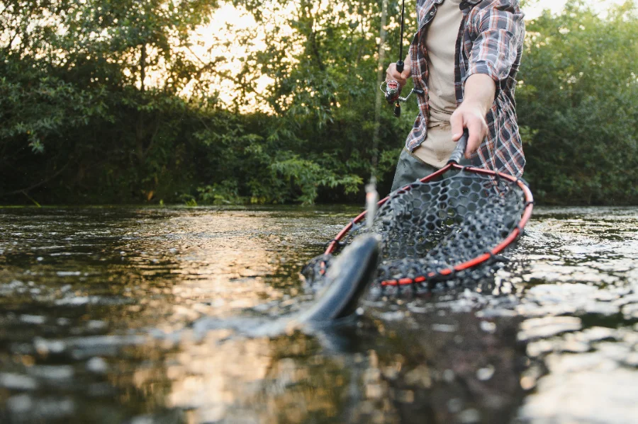Règlementations de pêche au Québec : Ce que tu dois savoir pour 2025