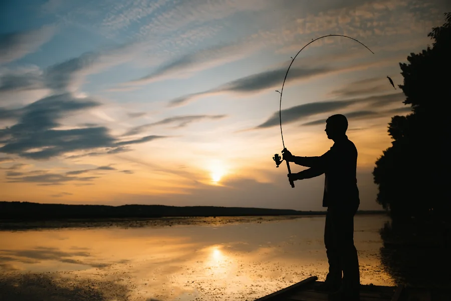 Techniques de Pêche au Québec : De la Truite au Doré